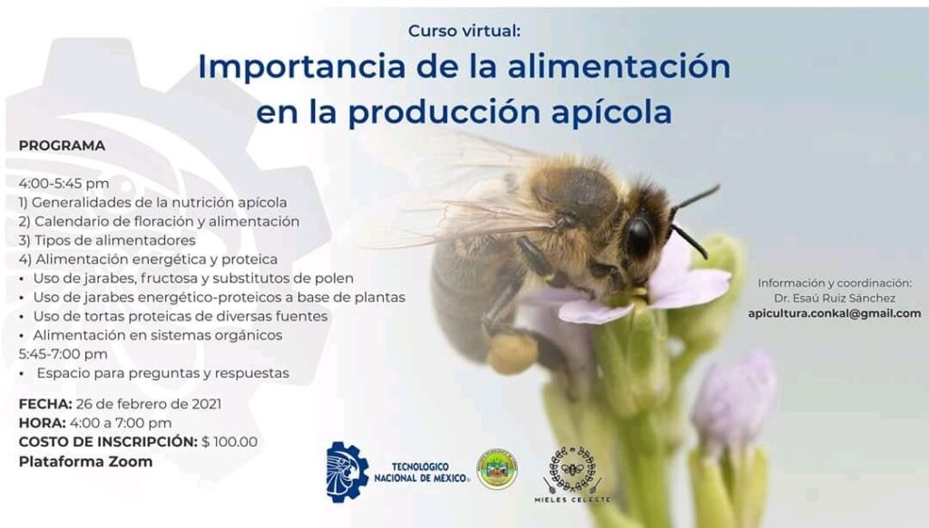 Importancia de la alimentacion en la produccion apicola